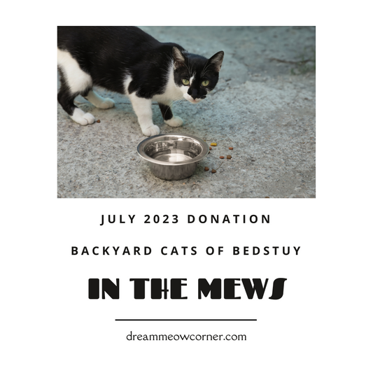 July Donation - Backyard Cats of Bedstuy