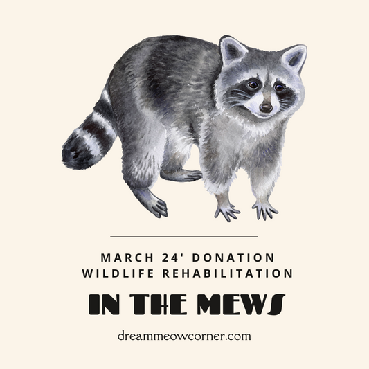 March Donation - Wildlife Rehabilitation - AGAIN!