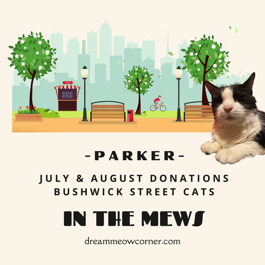 July & August Donations - Bushwick Street Cats - PARKER