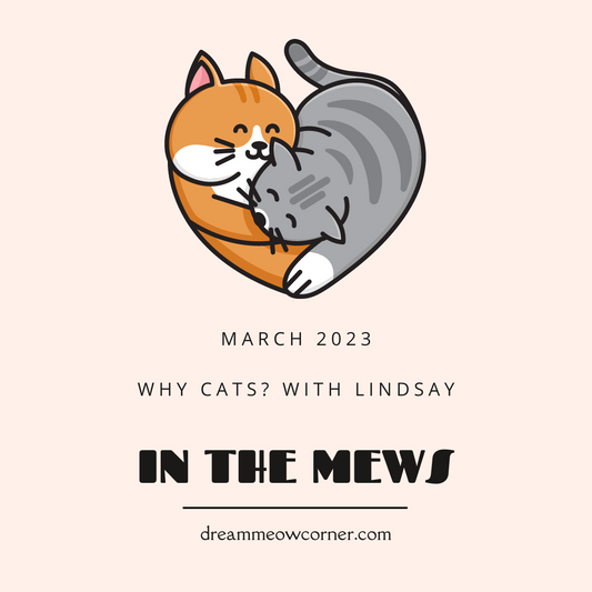 Why Cats? With my lovely friend Lindsay!