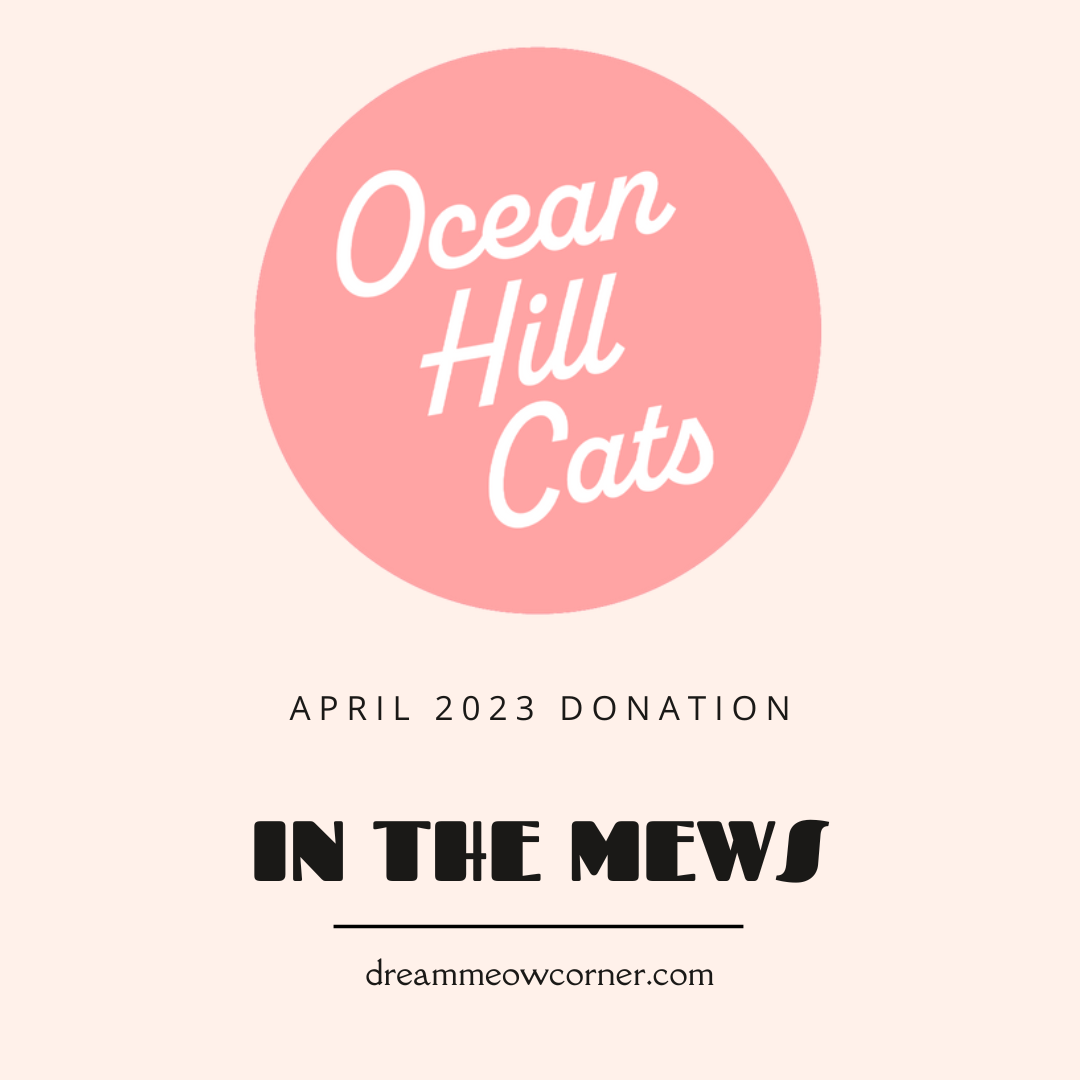 April 2023 Donation - Ocean Hill Cats