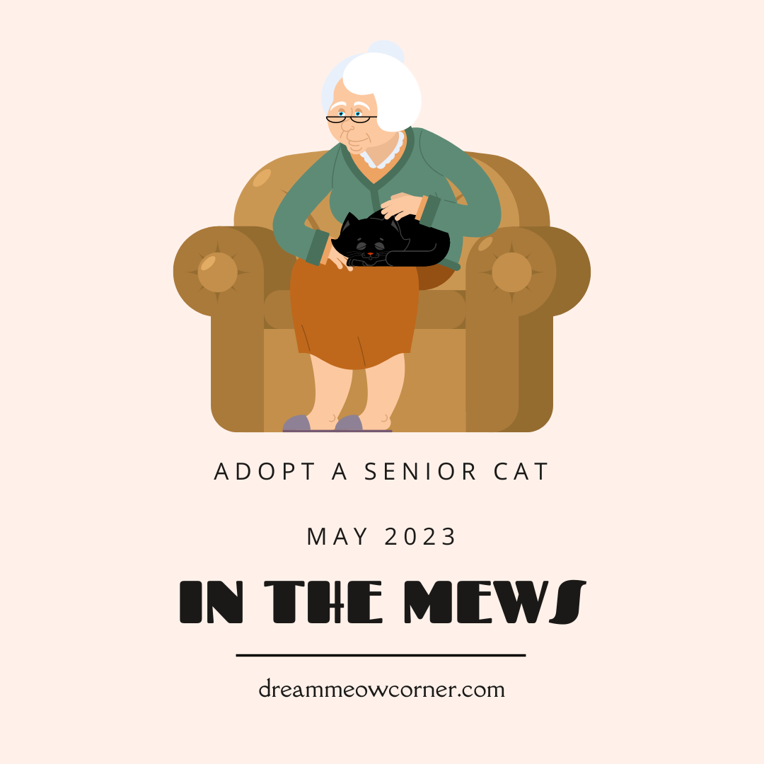 Senior Cats Need a Home Too!