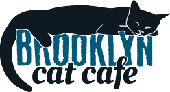 October Donation - Brooklyn Cat Cafe