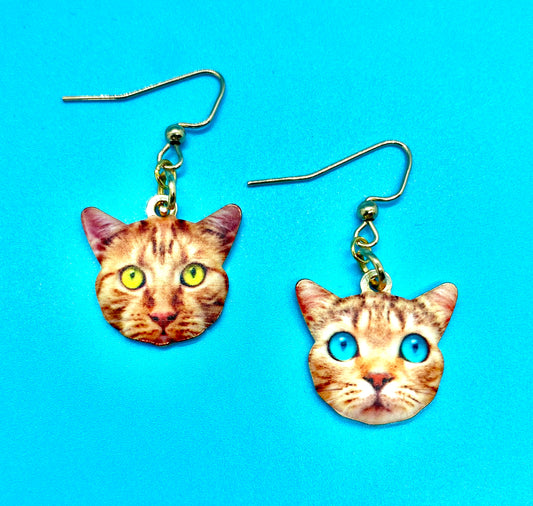 Orange kitty earrings